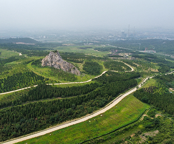 牧龙山生态恢复项目